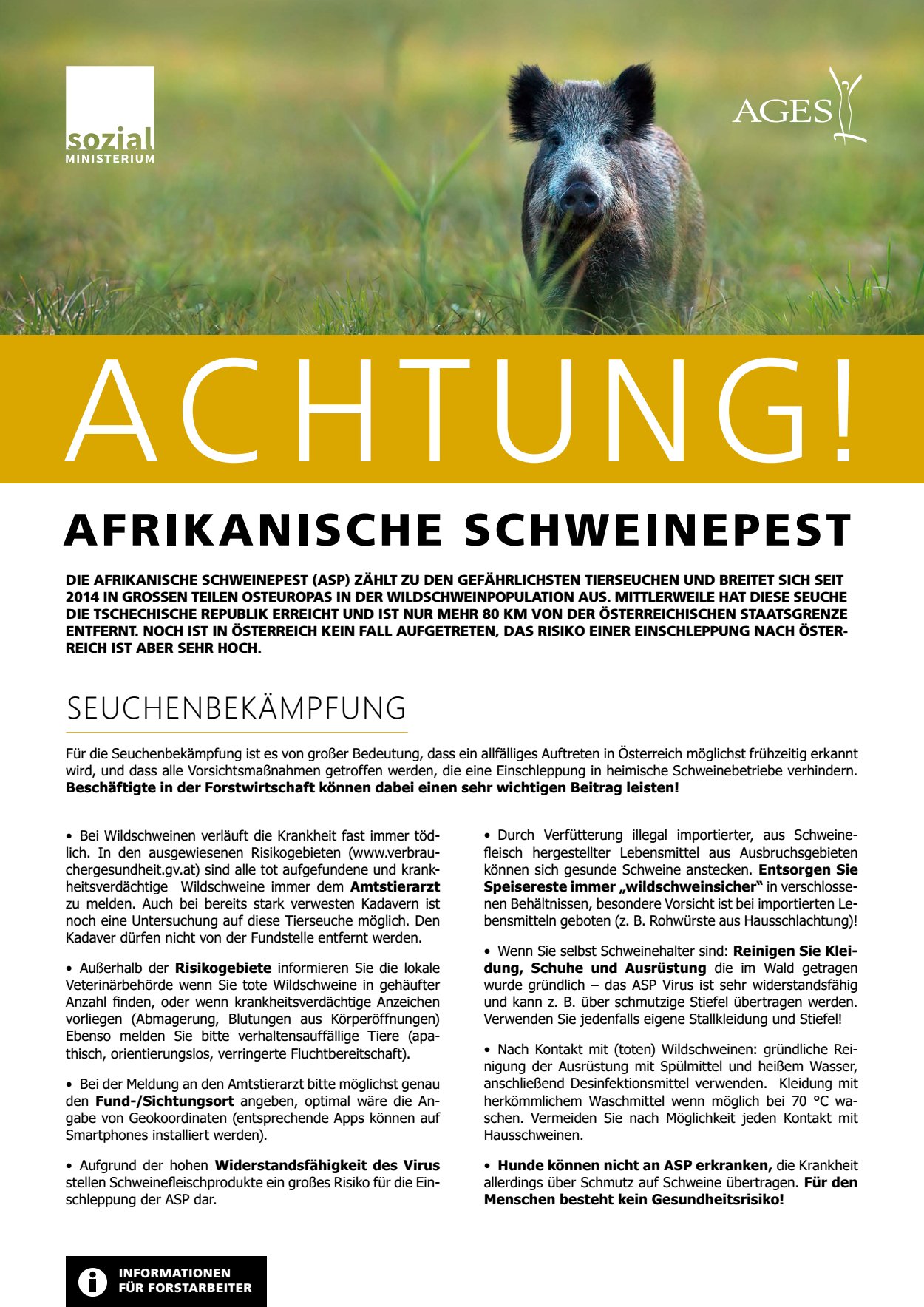 [webcatalog=4472022]