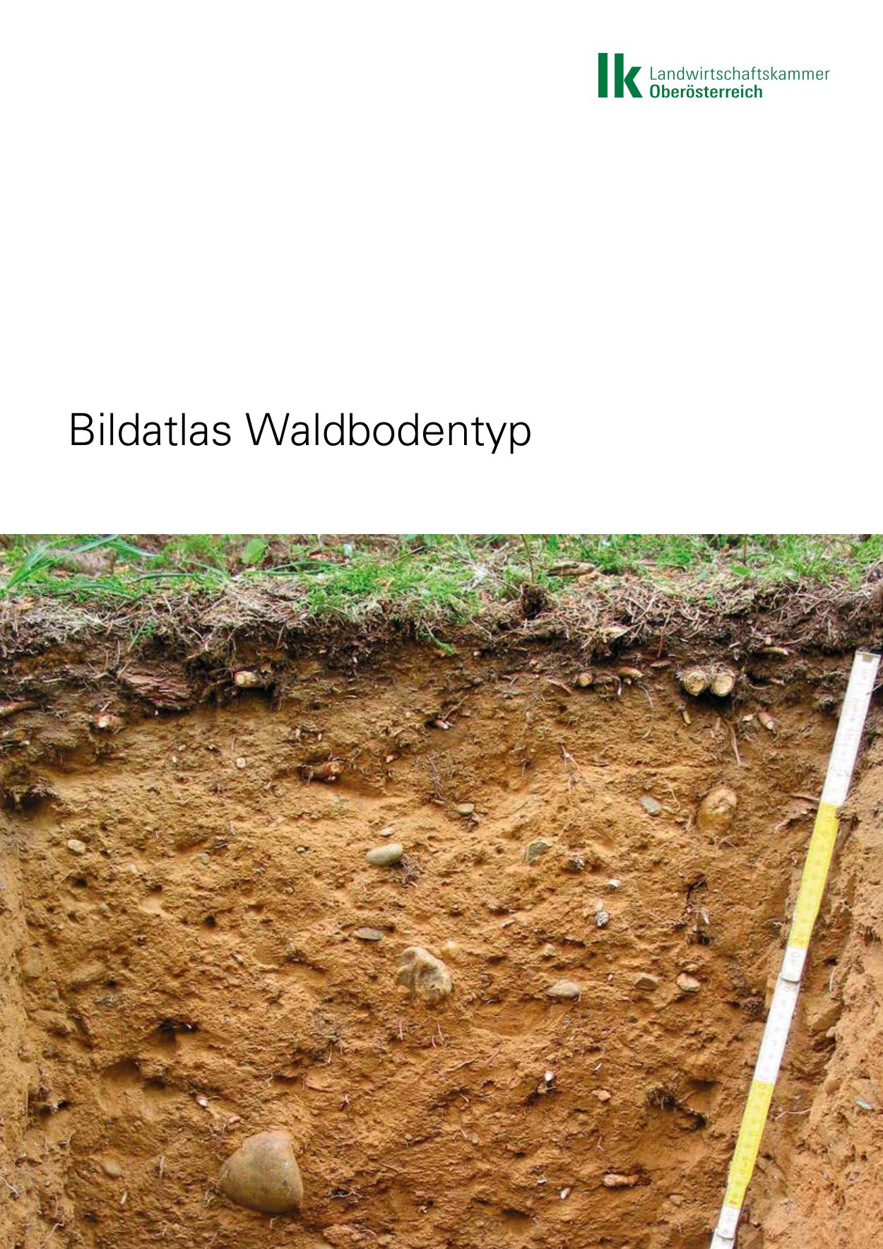[webcatalog=4440036]