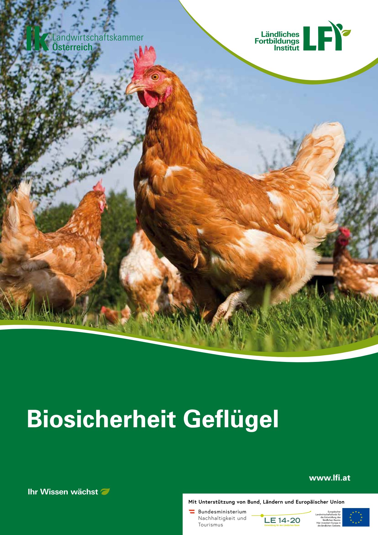 [webcatalog=4440785]