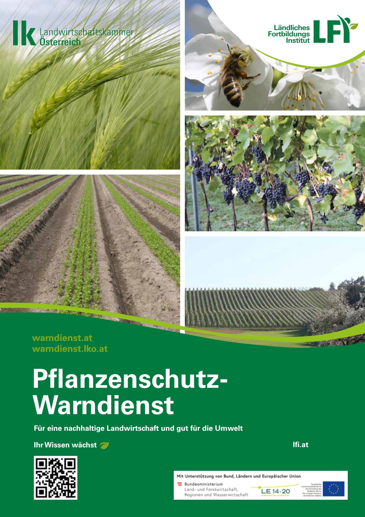 [webcatalog=4440696]