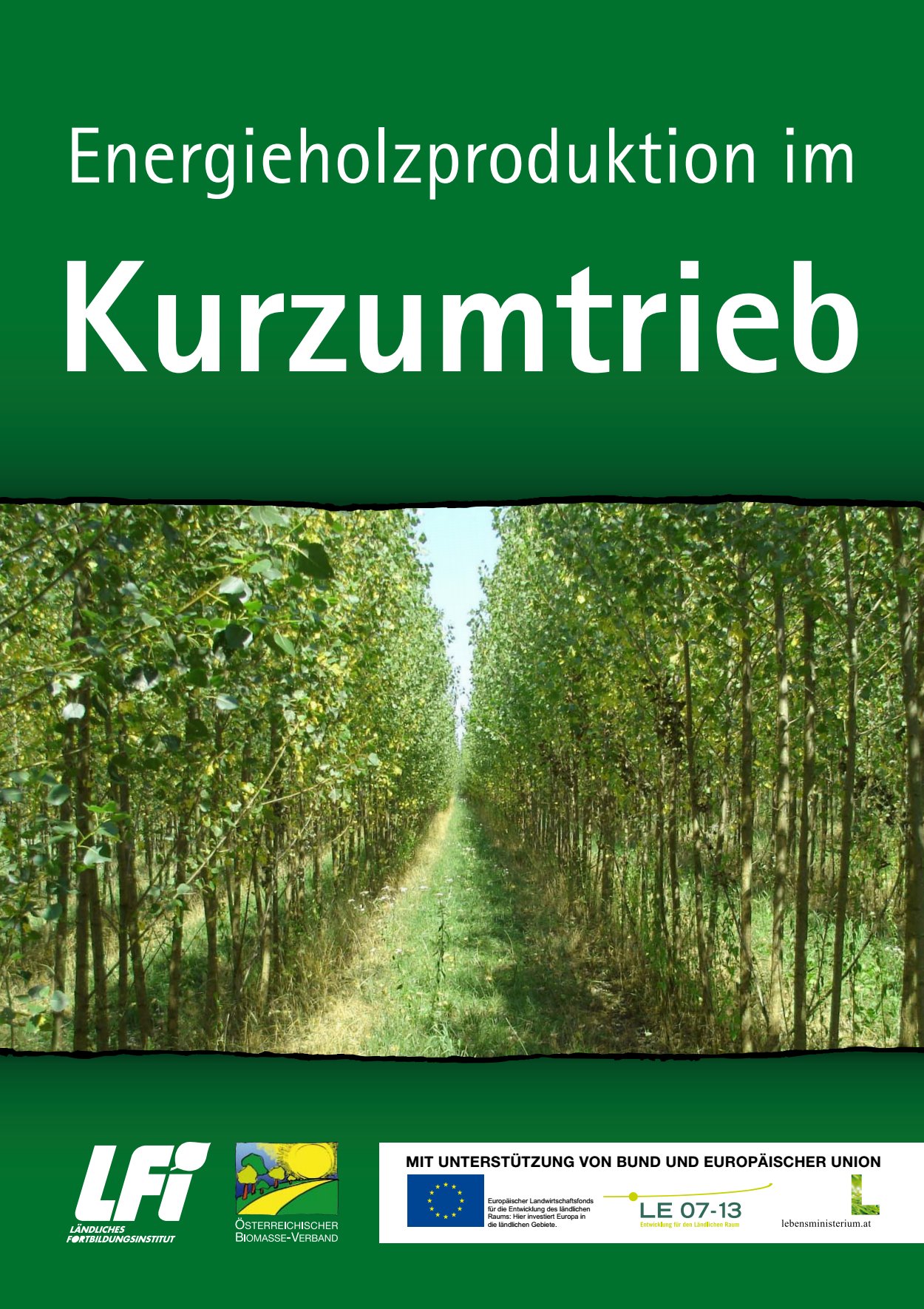 [webcatalog=4440070]