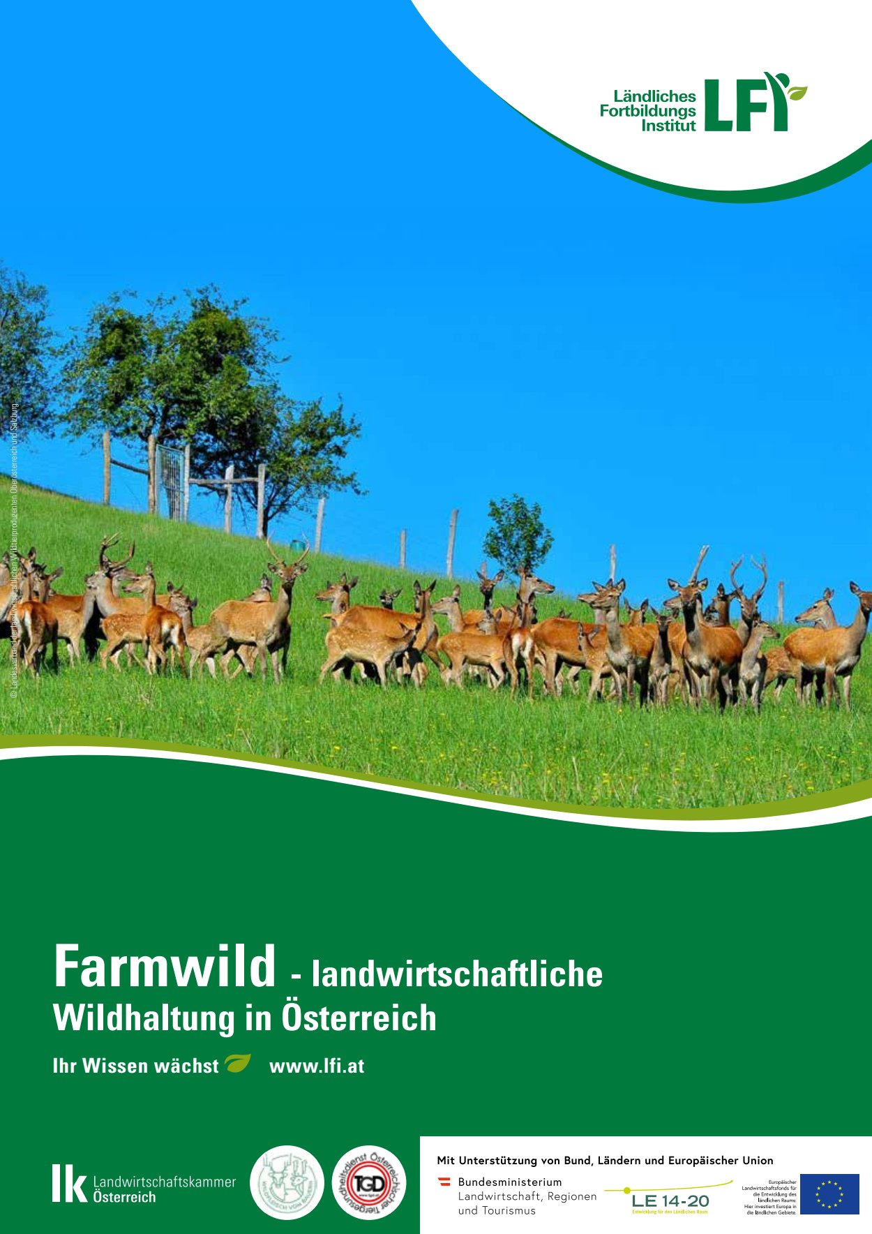 [webcatalog=4441052]