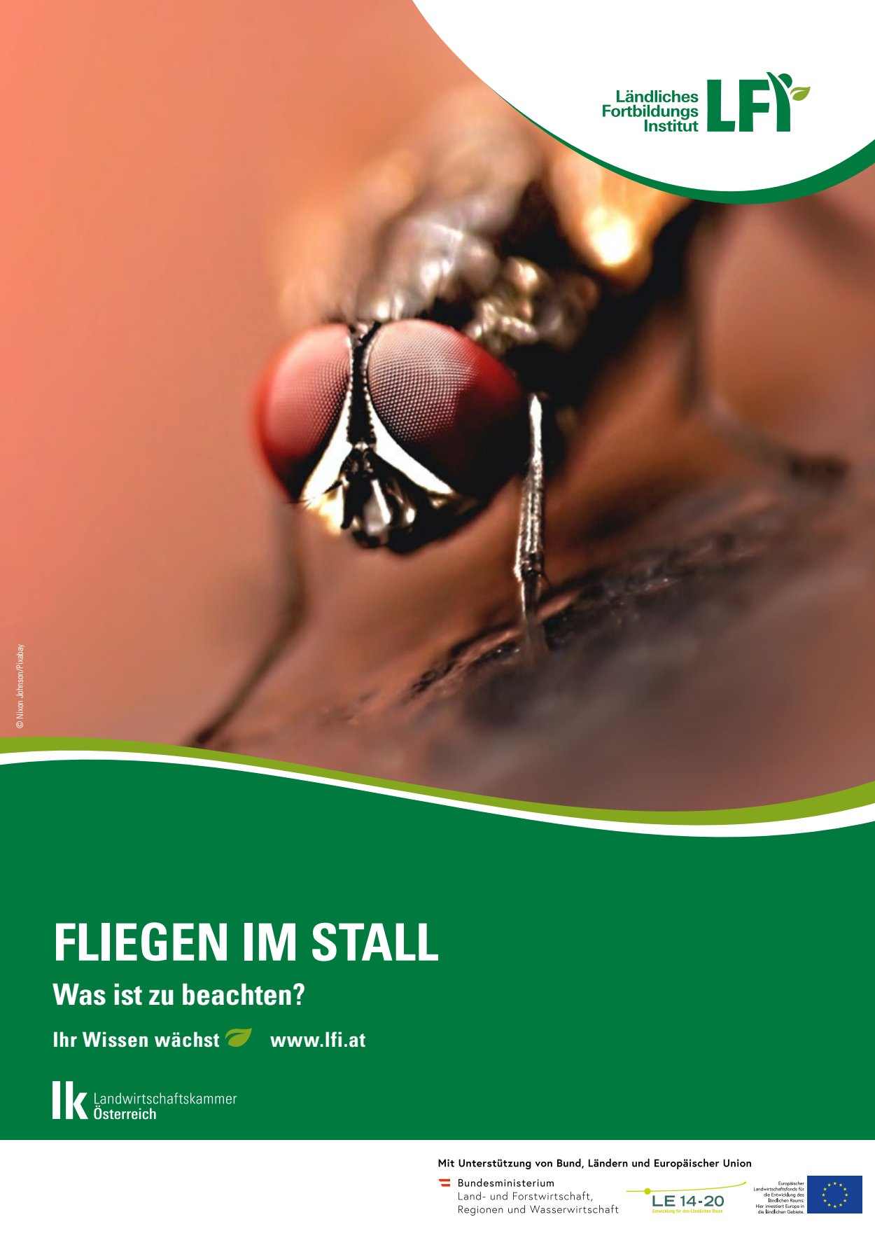[webcatalog=4441056]