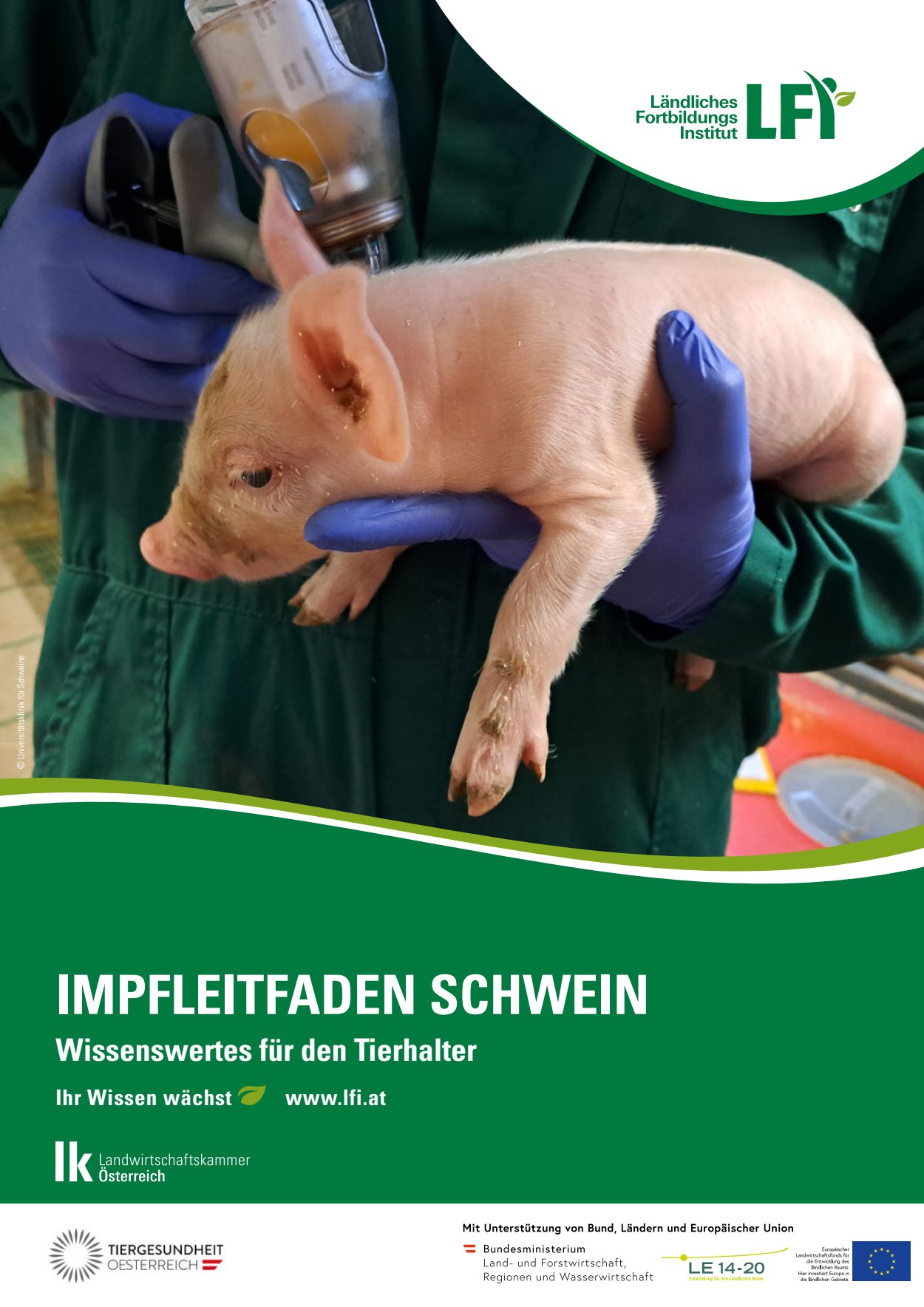 [webcatalog=4441074]