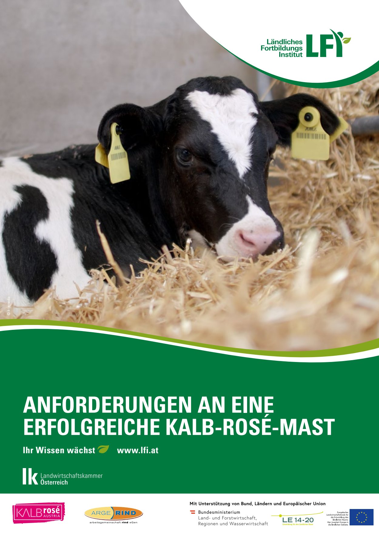 [webcatalog=4441106]