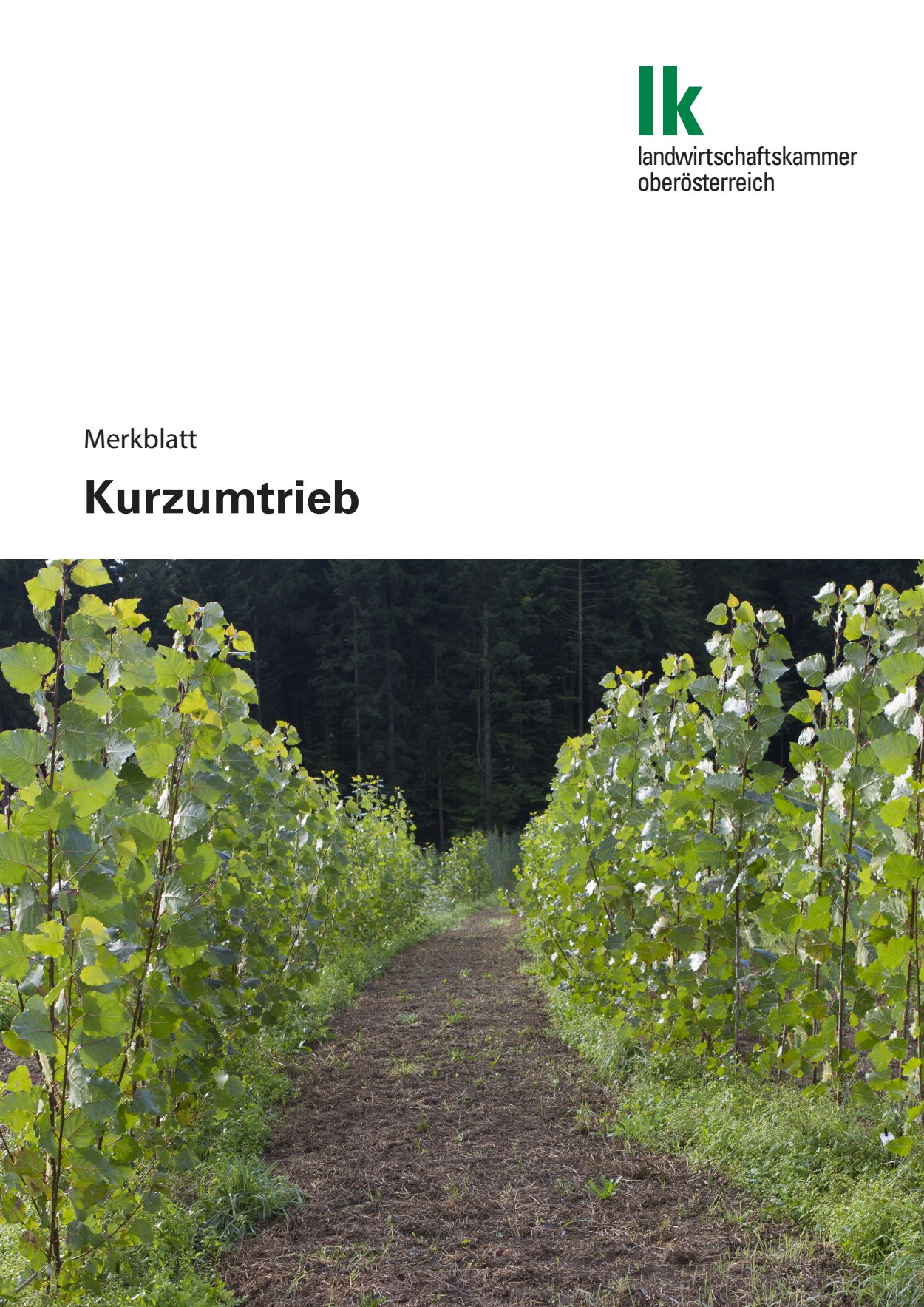 [webcatalog=4440154]
