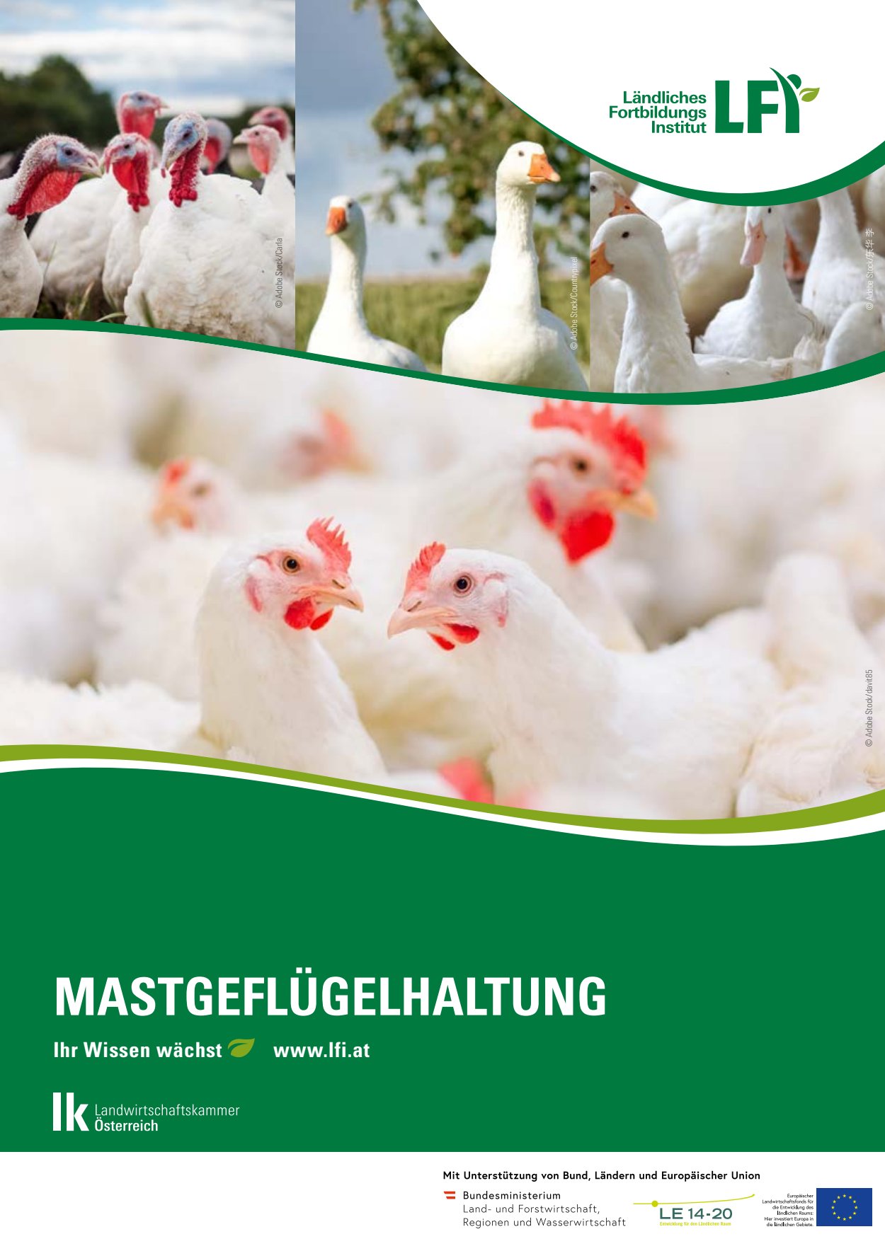 [webcatalog=4441119]