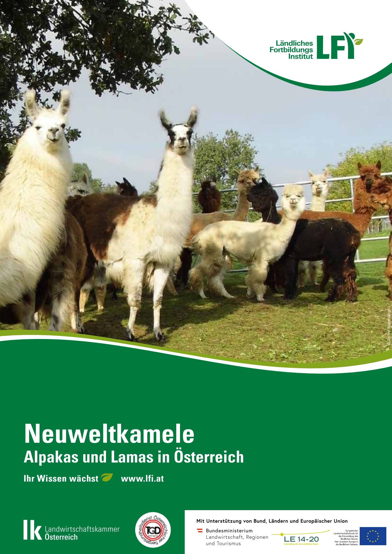 [webcatalog=4441124]