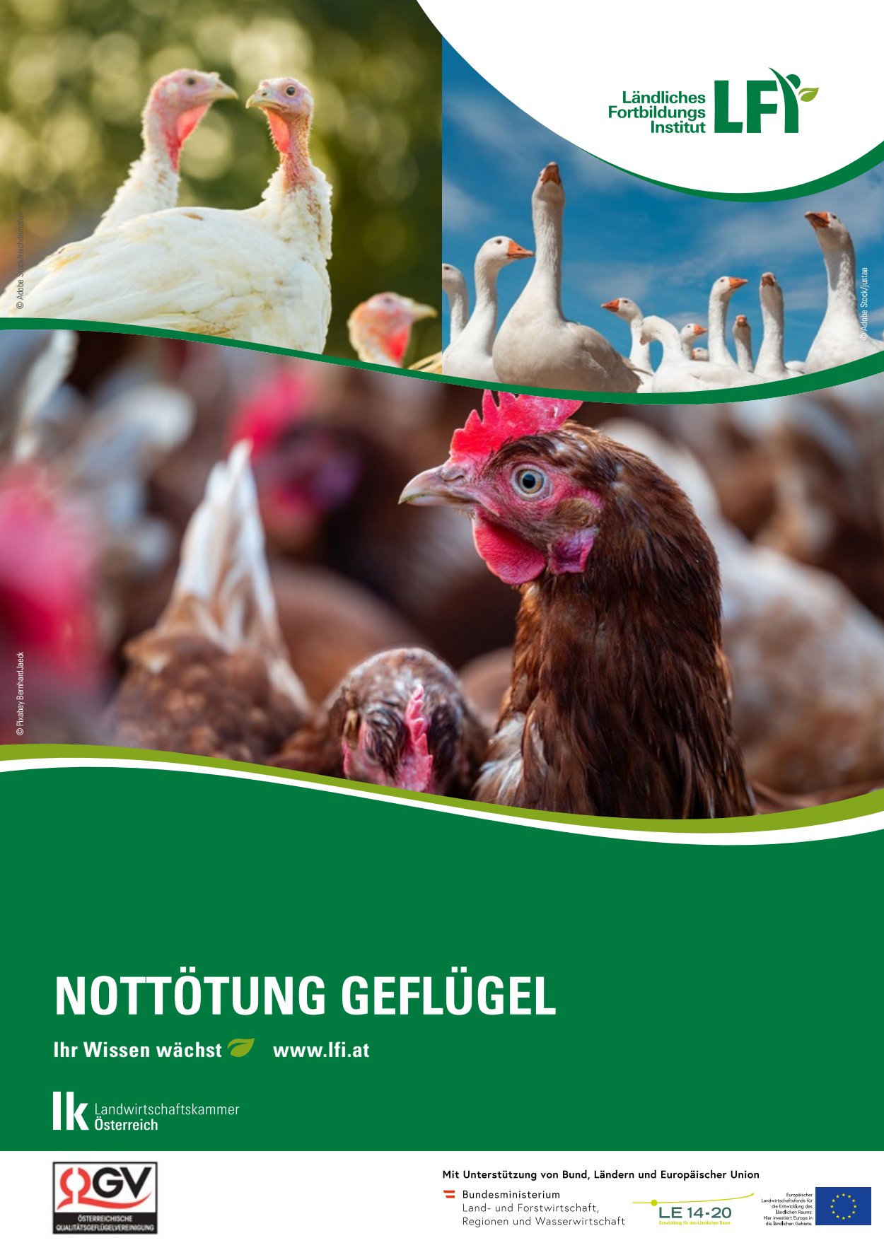 [webcatalog=4441129]