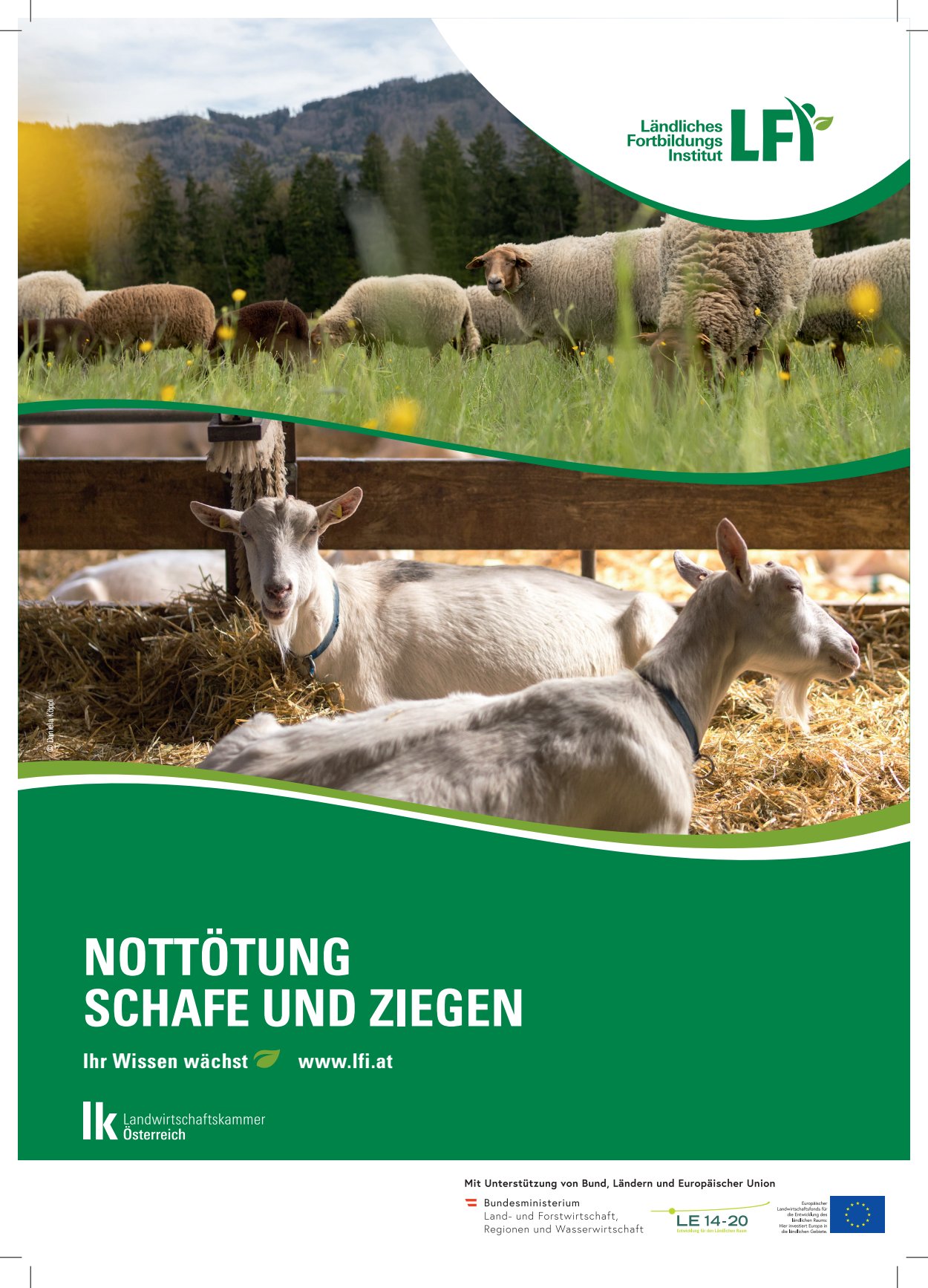[webcatalog=4441138]