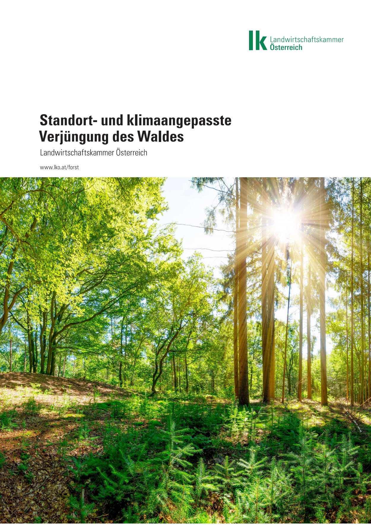 [webcatalog=4440203]