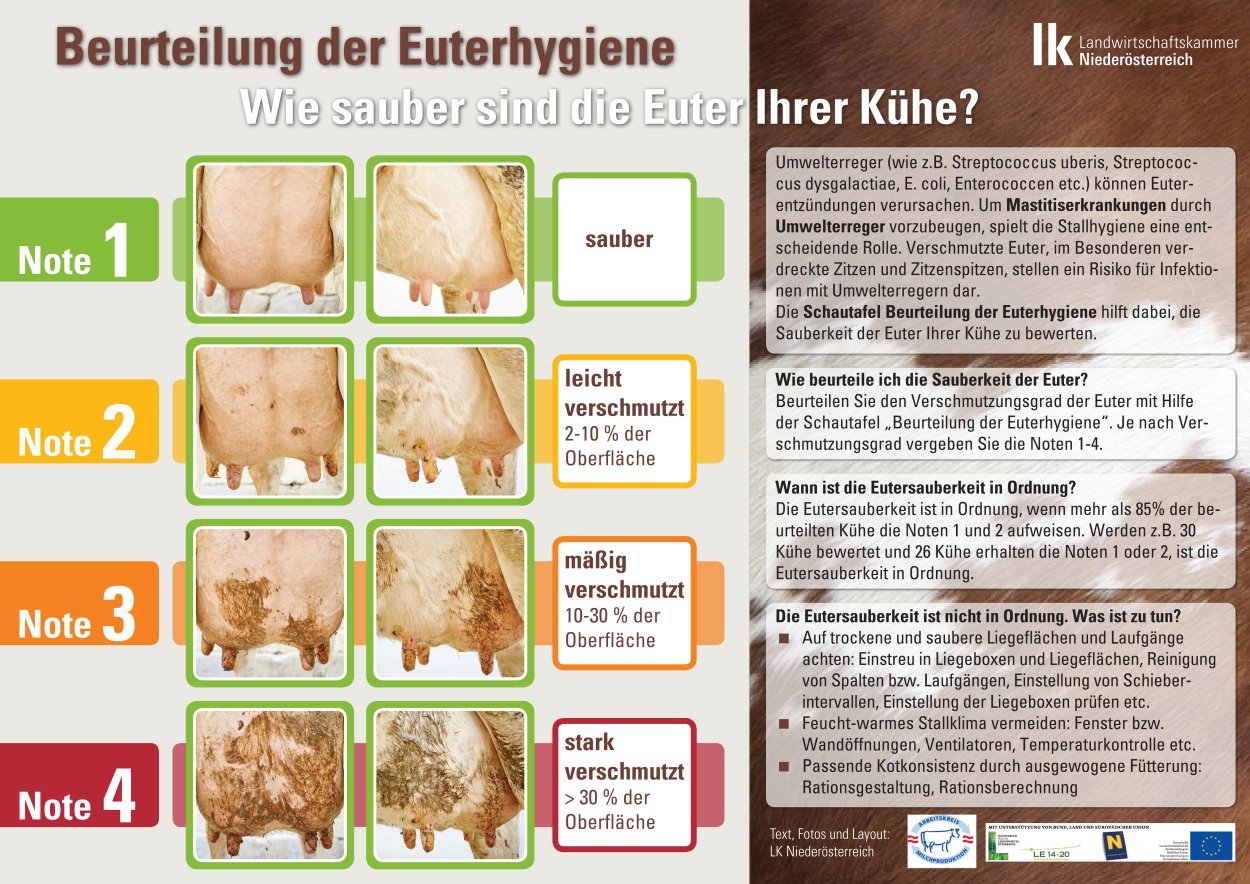 [webcatalog=4296584]