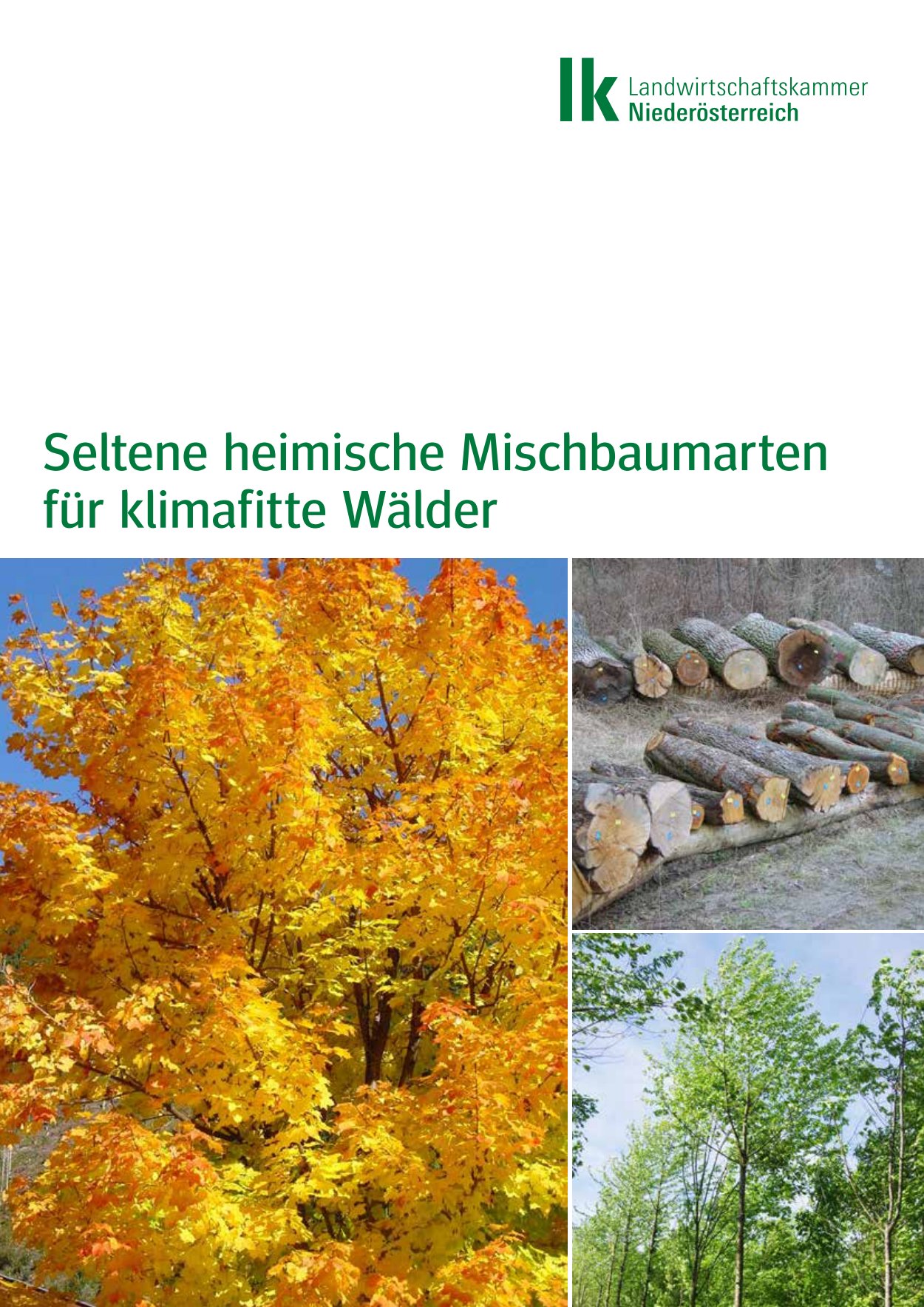 [webcatalog=4265846]