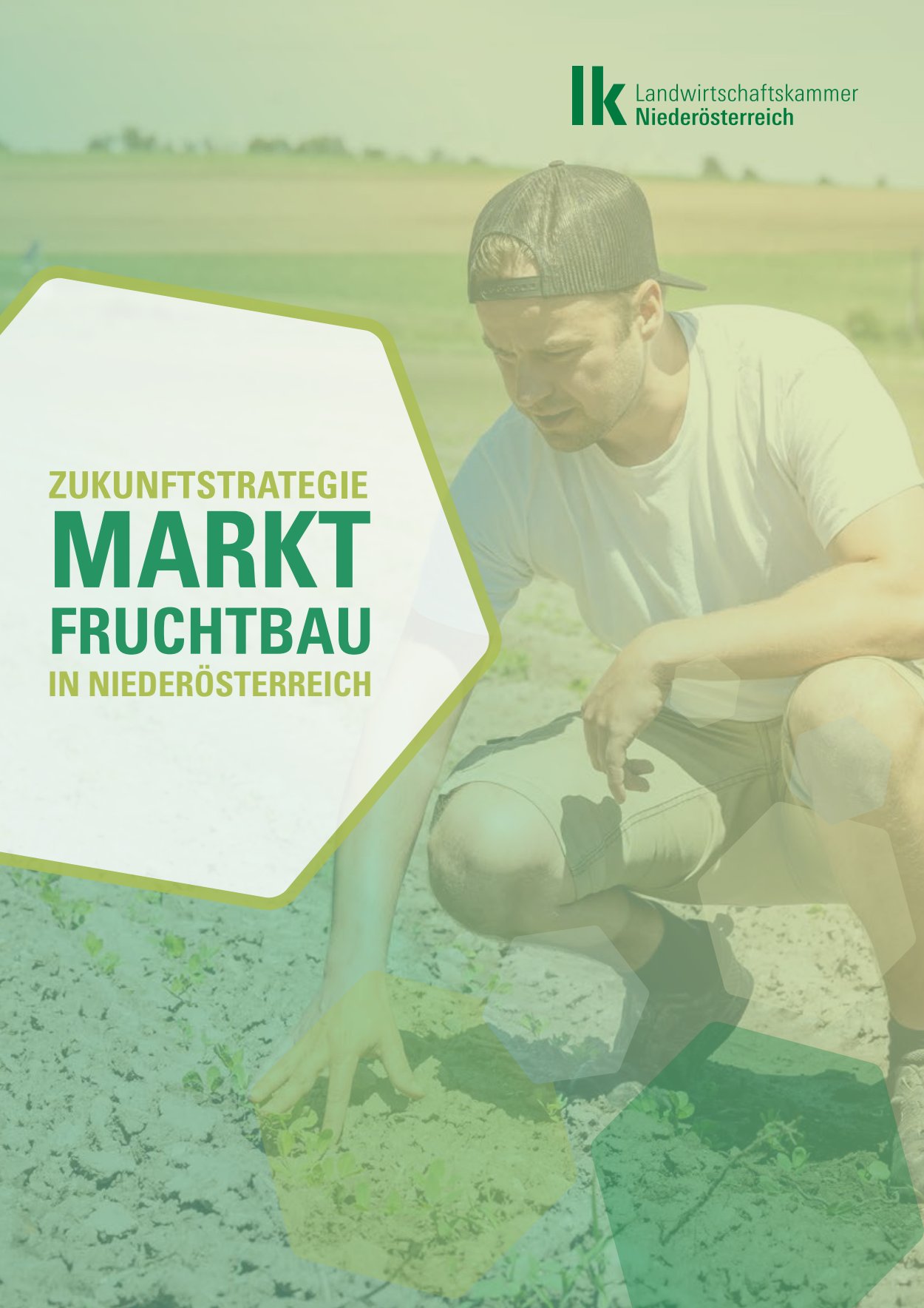 [webcatalog=4414342]