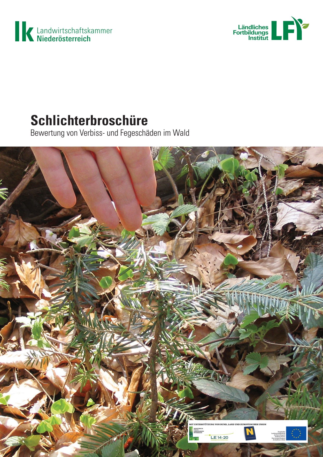 [webcatalog=4265868]