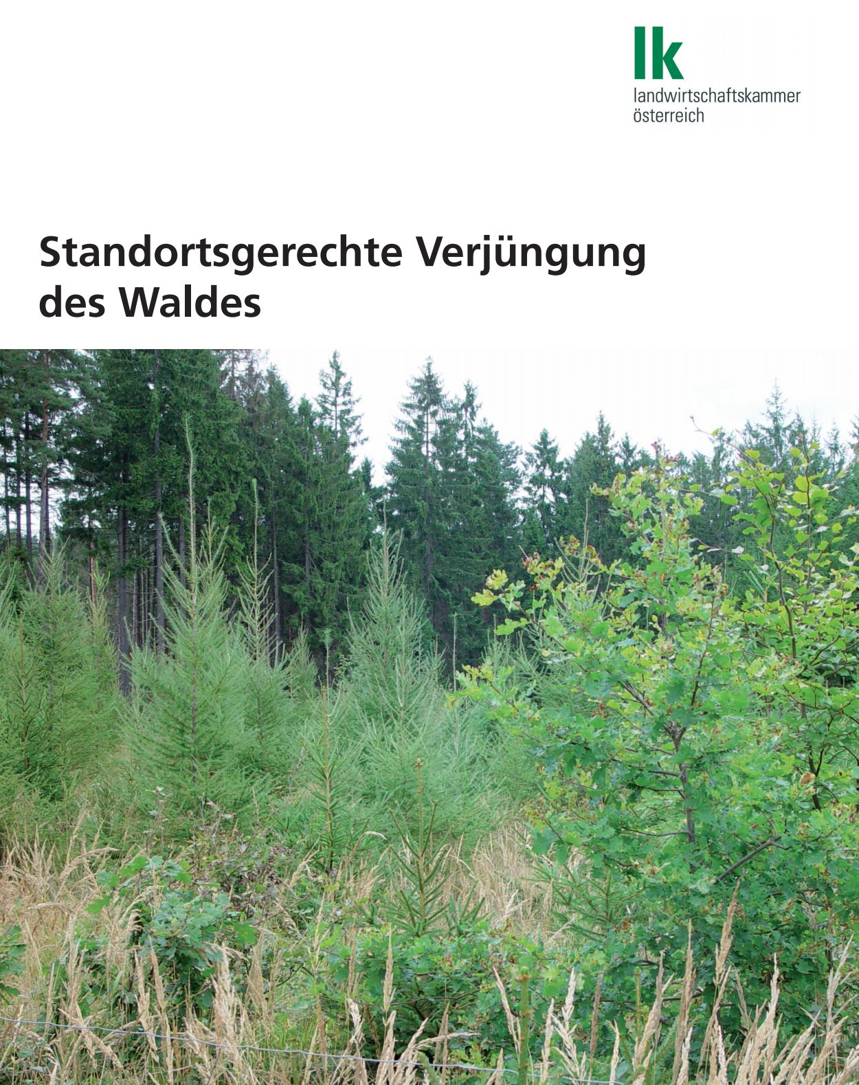 [webcatalog=4265872]