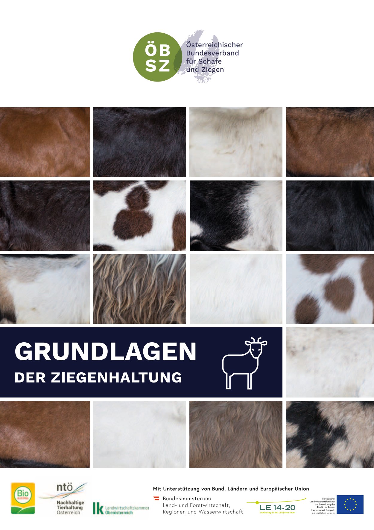 [webcatalog=4293631]