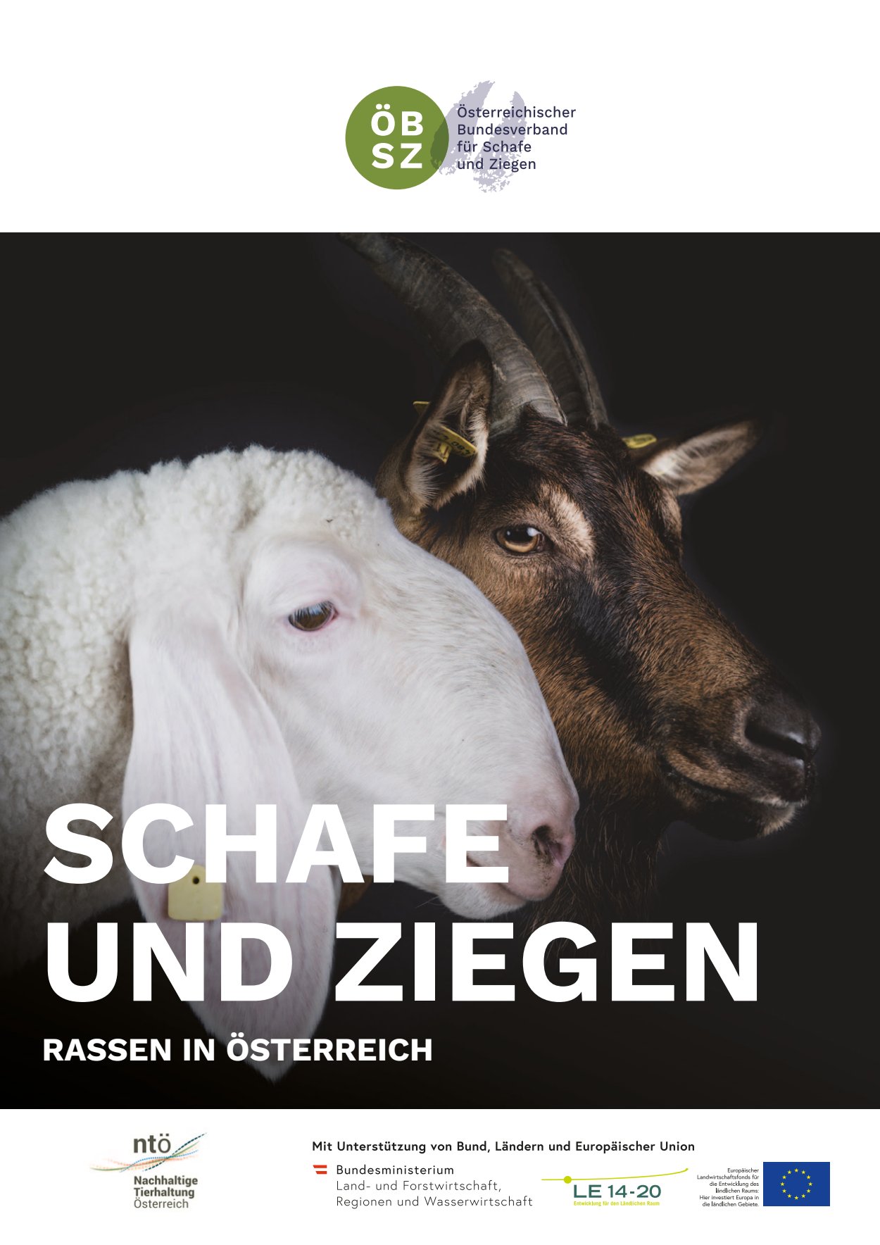 [webcatalog=4293639]