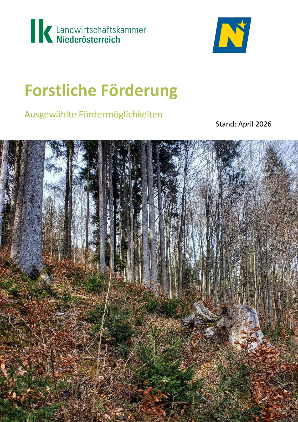 [webcatalog=4414279]