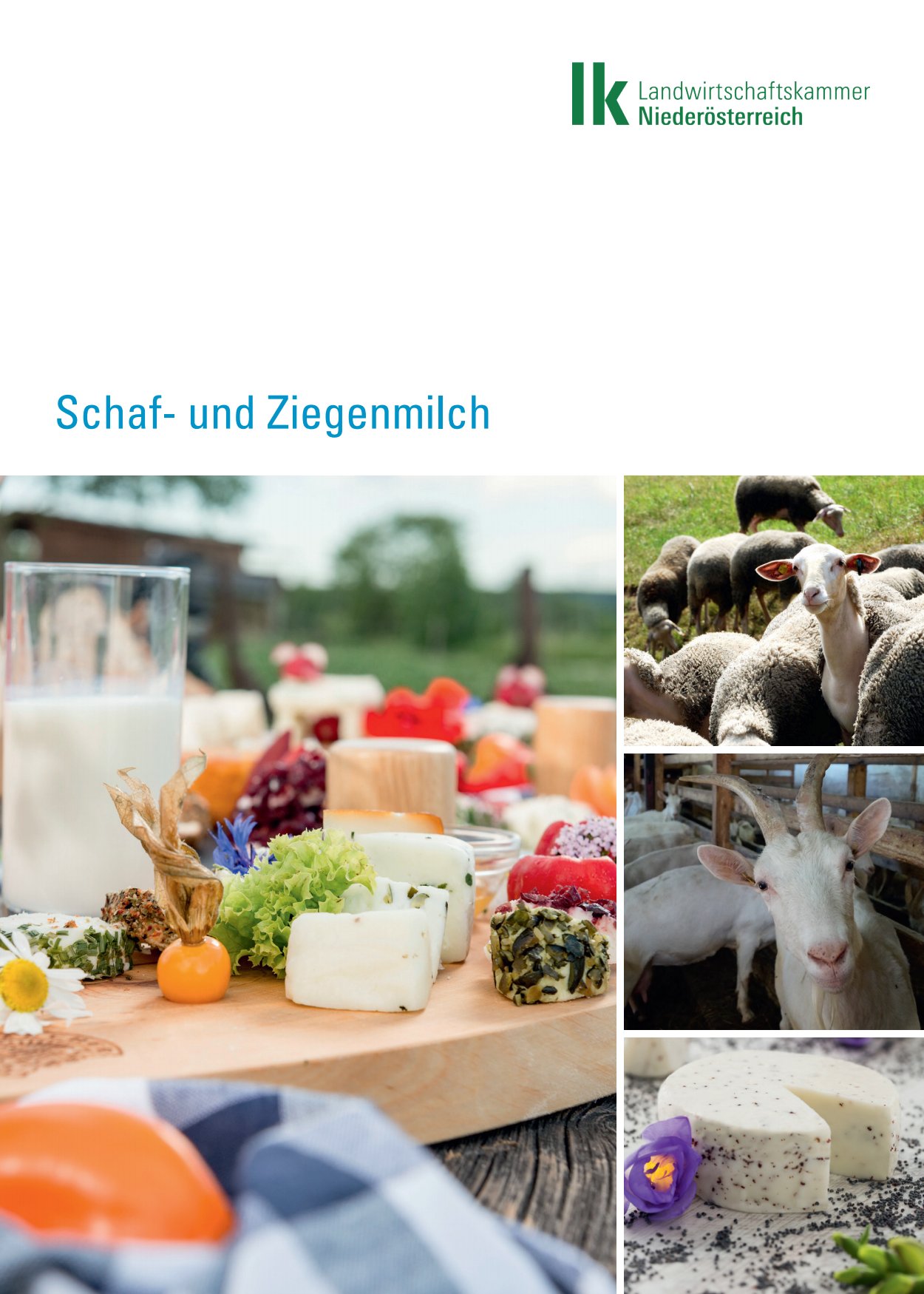 [webcatalog=4298374]