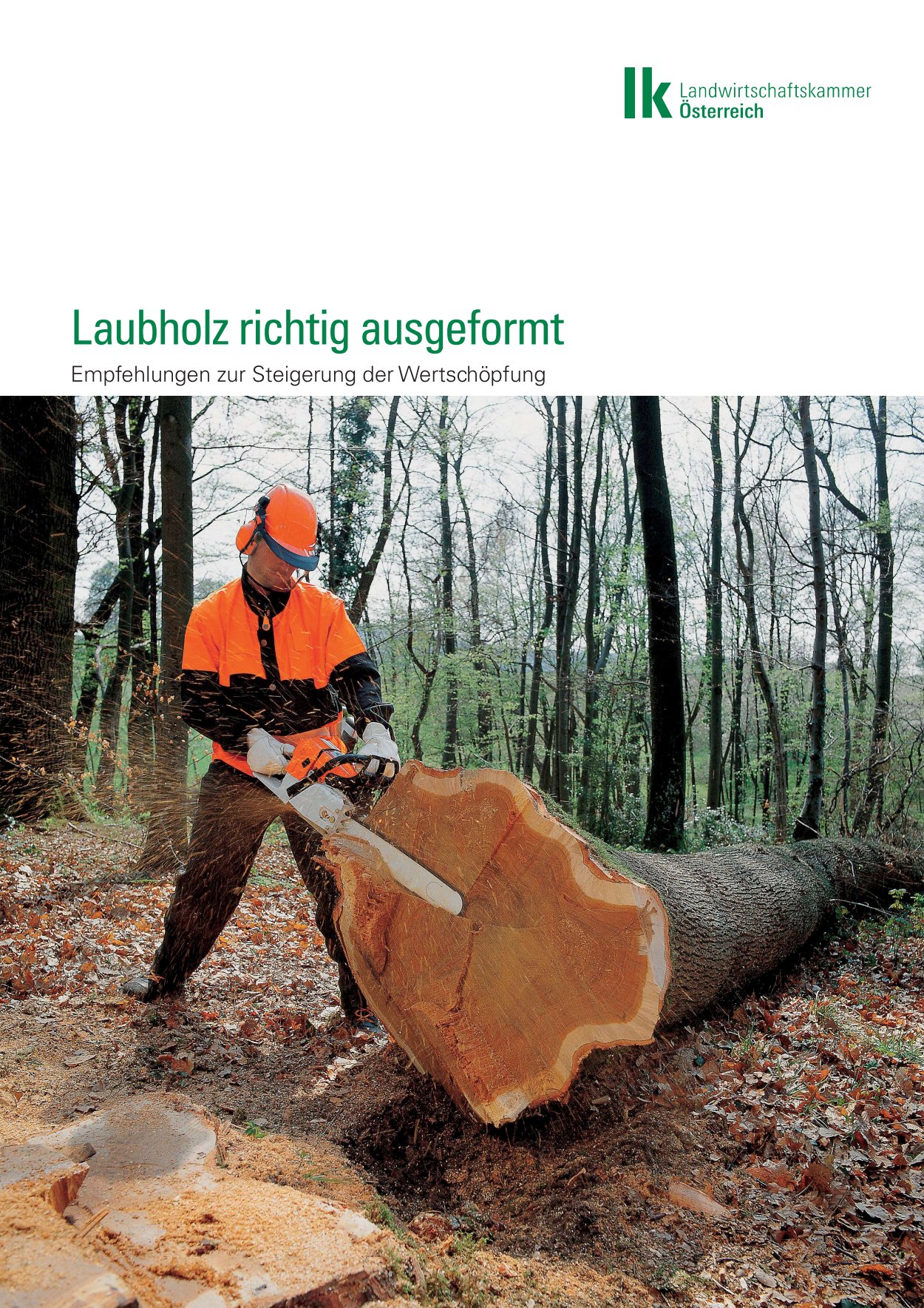 [webcatalog=4413137]