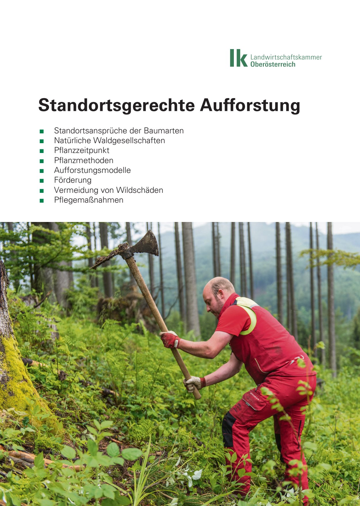 [webcatalog=4269684]